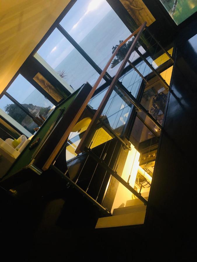 Villa Le Dauphin 4 Etoiles Vu Mer 메쉐르-수르-지롱드 외부 사진