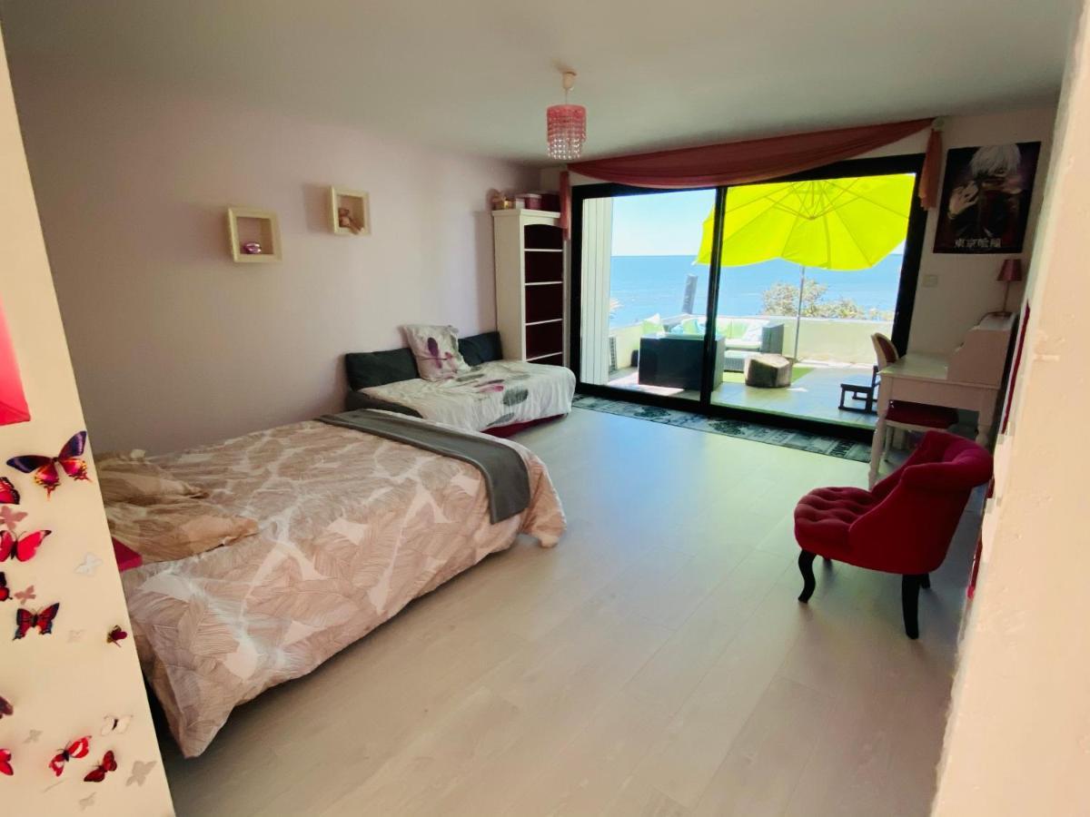 Villa Le Dauphin 4 Etoiles Vu Mer 메쉐르-수르-지롱드 외부 사진
