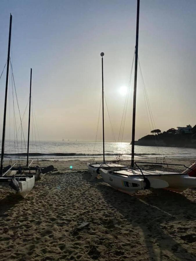 Villa Le Dauphin 4 Etoiles Vu Mer 메쉐르-수르-지롱드 외부 사진