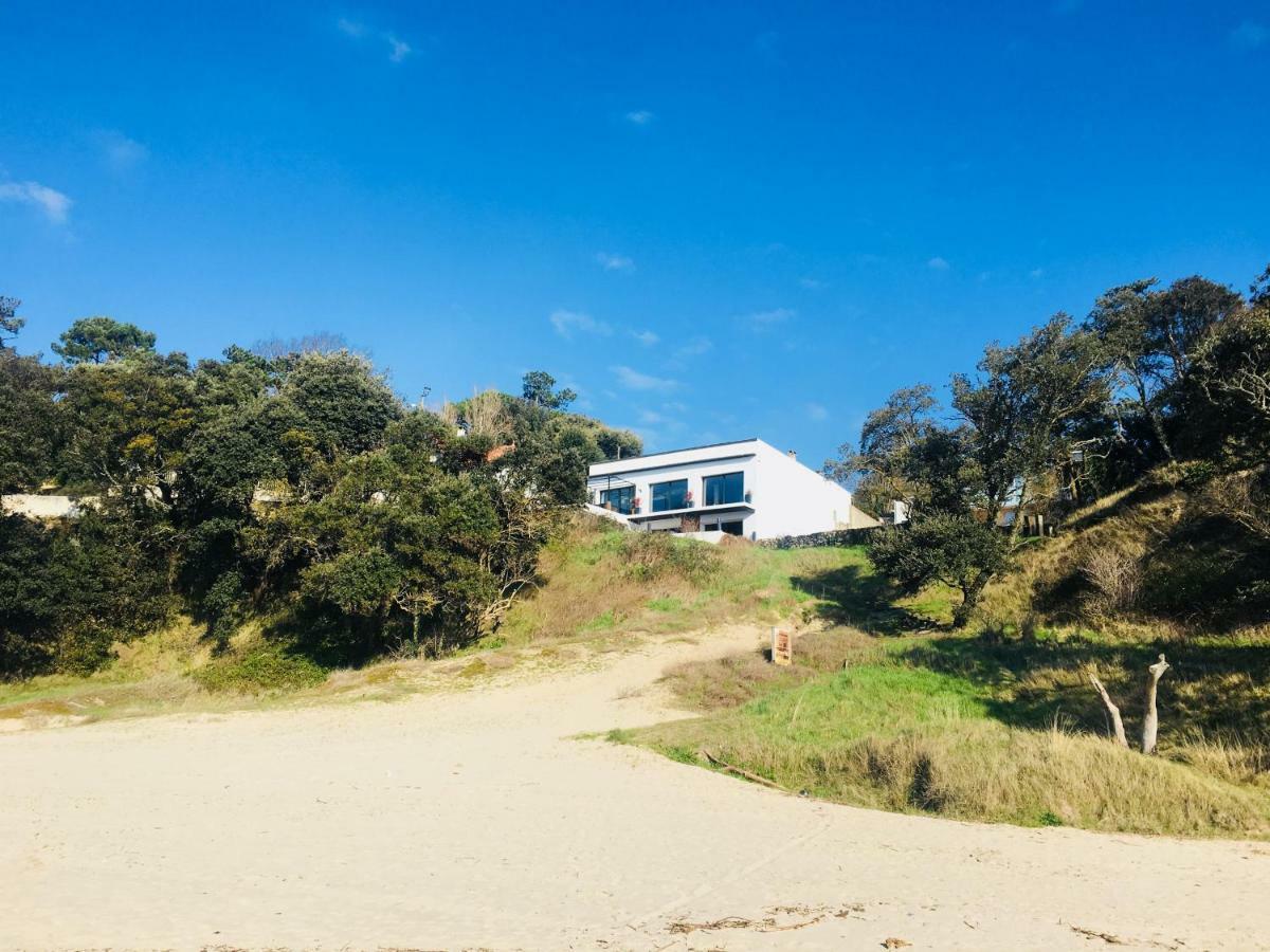 Villa Le Dauphin 4 Etoiles Vu Mer 메쉐르-수르-지롱드 외부 사진