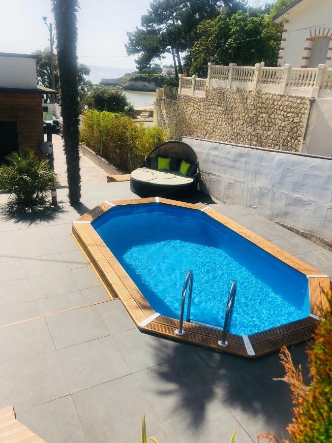 Villa Le Dauphin 4 Etoiles Vu Mer 메쉐르-수르-지롱드 외부 사진